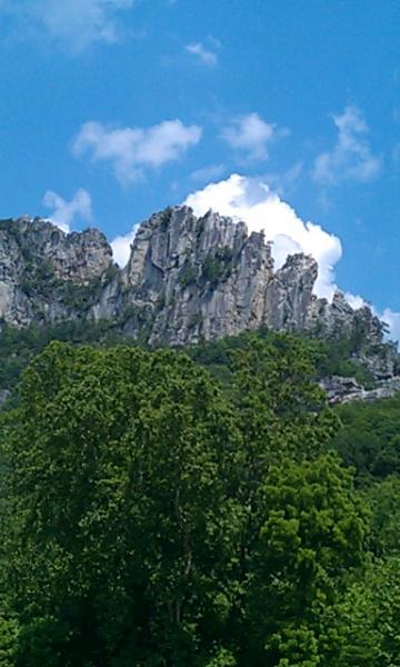 IMAG0697