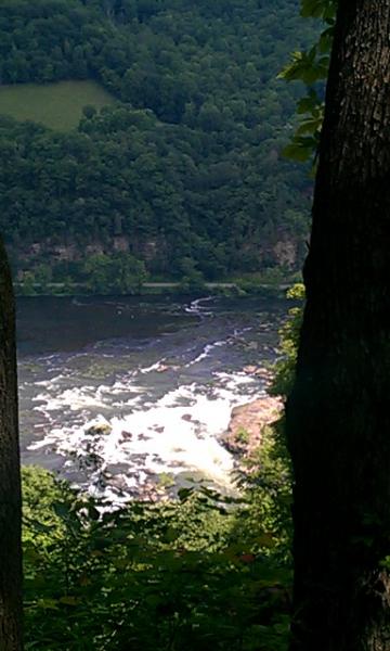 IMAG0710