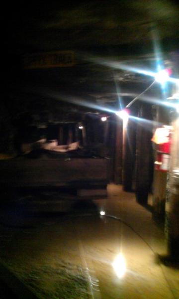 IMAG0715