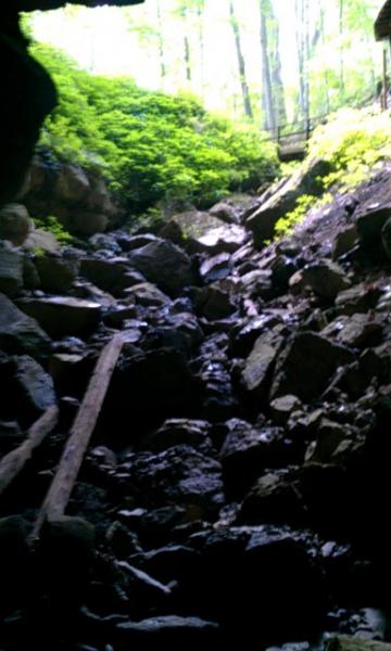 IMAG0880