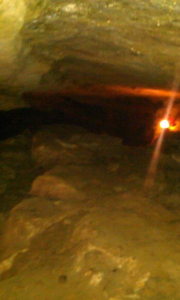 IMAG0882