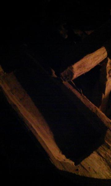 IMAG0887