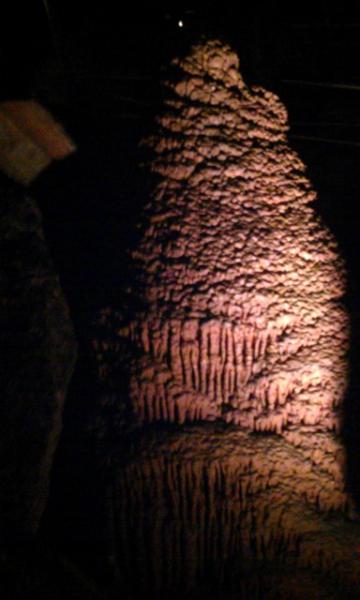 IMAG0894