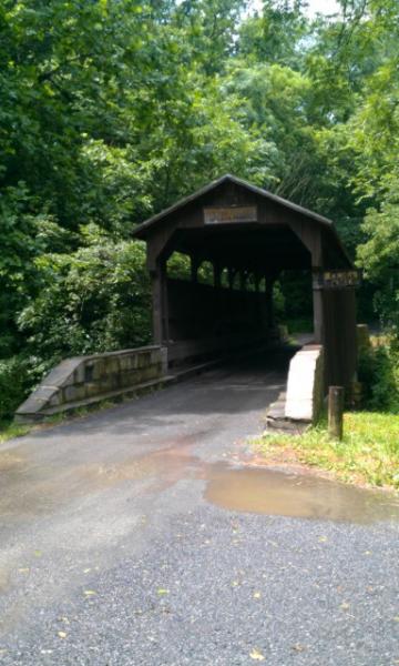 IMAG0895