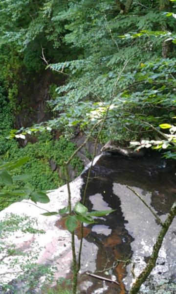 IMAG0901