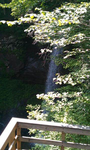 IMAG0902