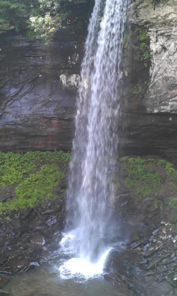 IMAG0903