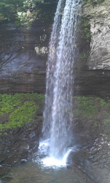 IMAG0904