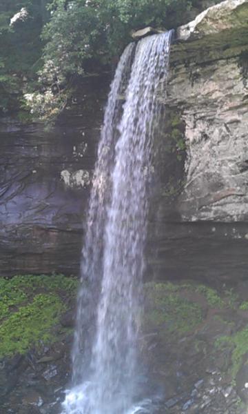 IMAG0905