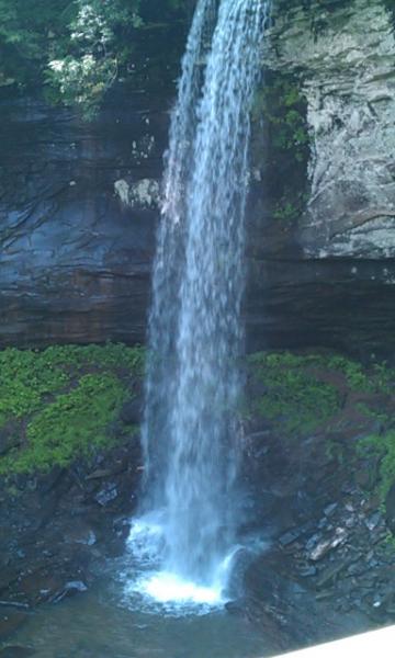 IMAG0907