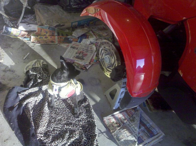 IMG 20120115 170416