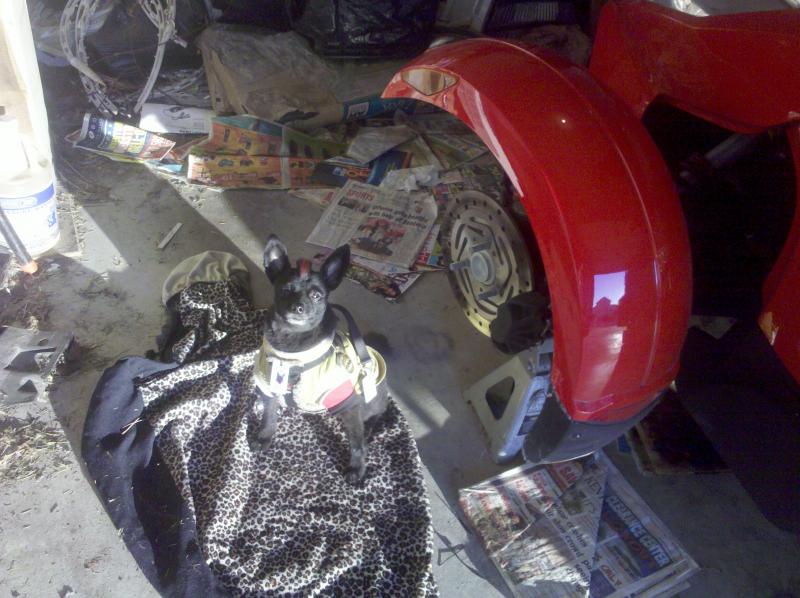IMG 20120115 170421