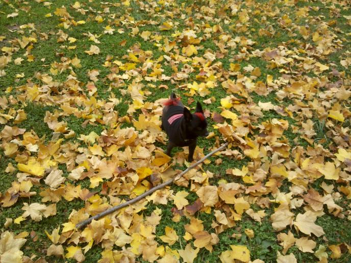 IMG 20121019 133727