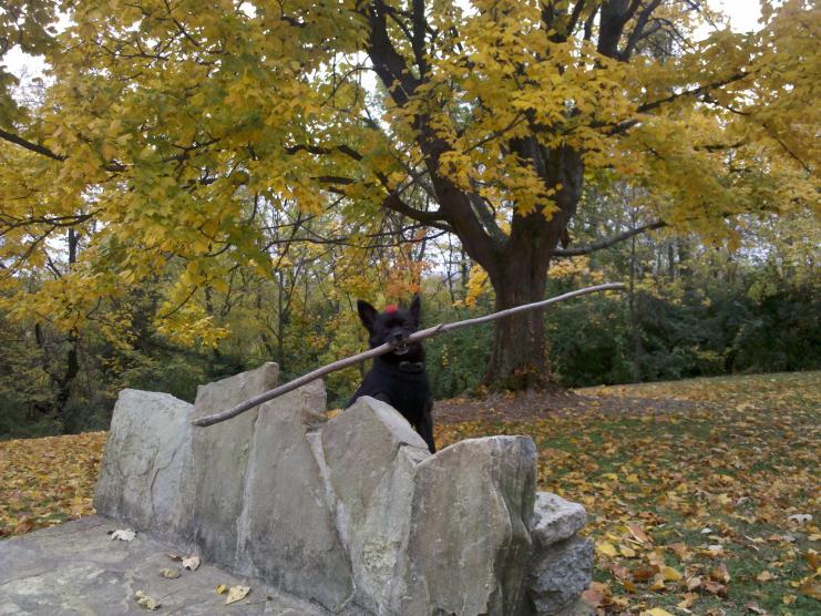IMG 20121019 134430