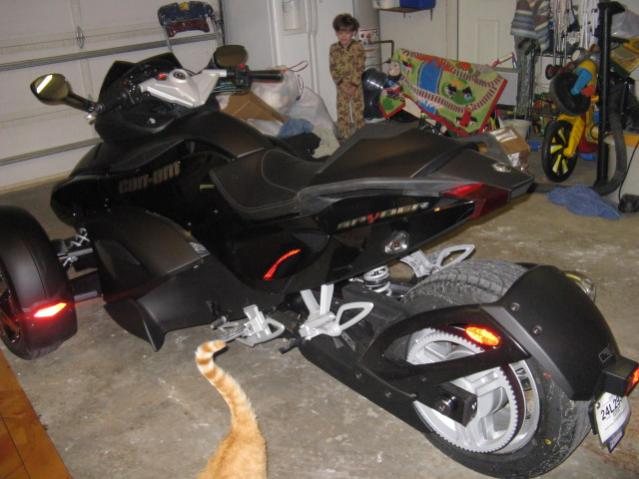IMG 2556
