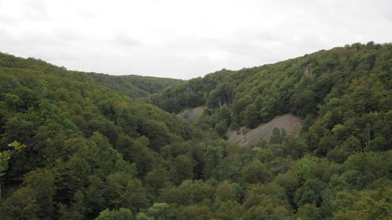 IMG 3120