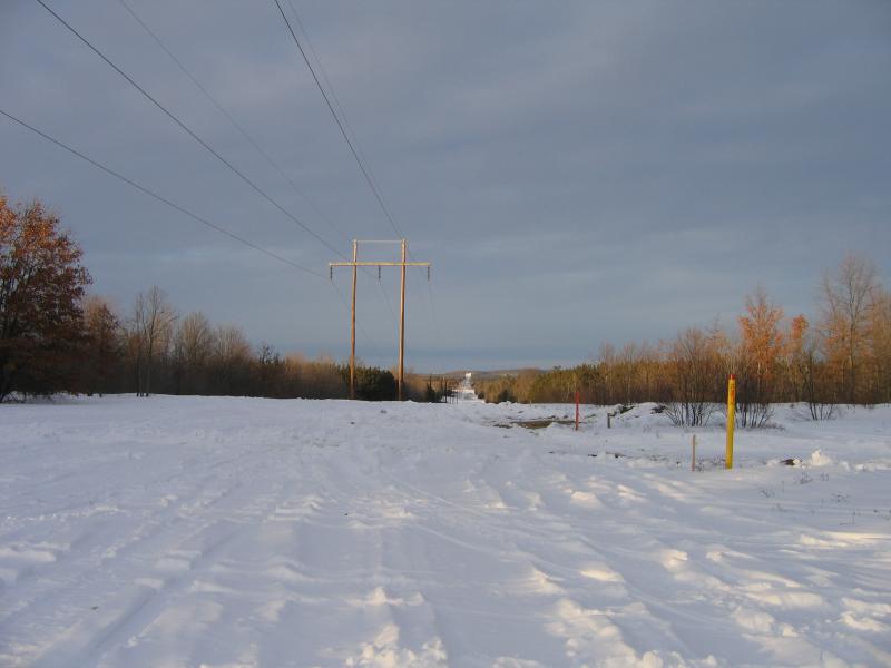 IMG 7782