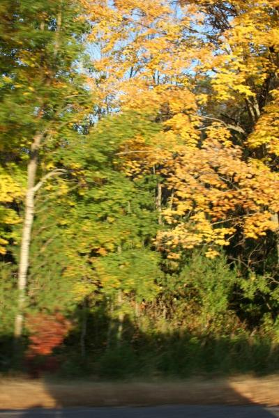 IMG 9079 (533x800)