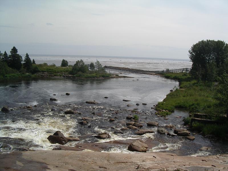 IMGP1364