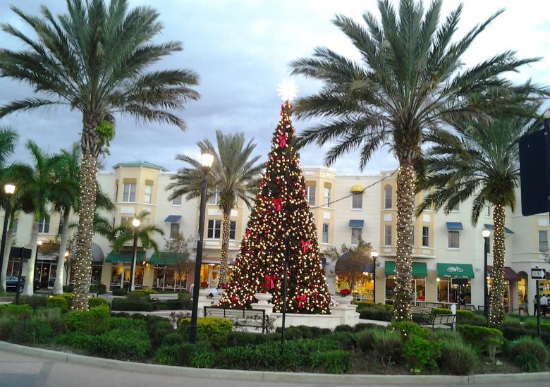 Lakewood Ranch Christmas Tree