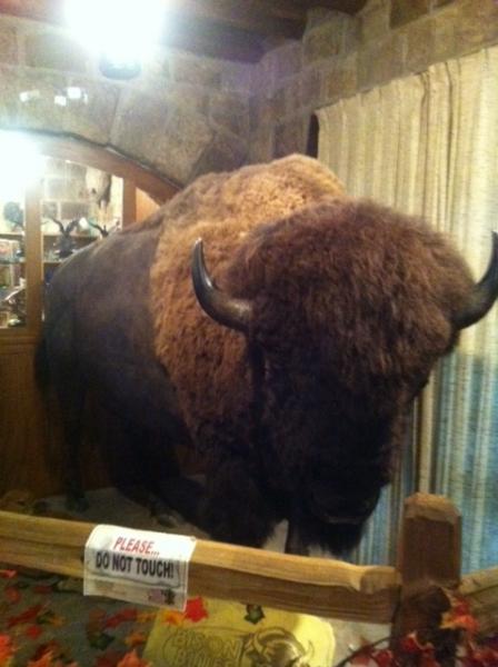 Lamont's Buddy