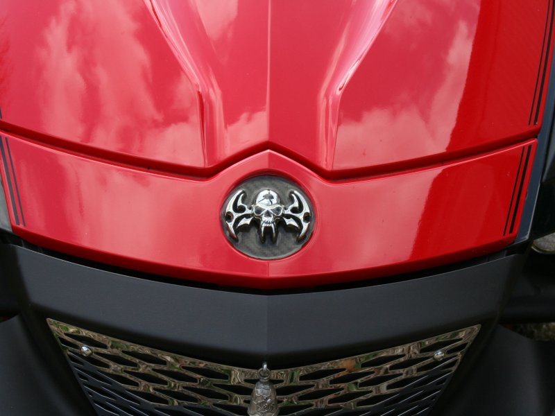 LeesSpyder32