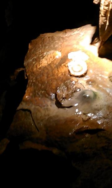 luray caverns61