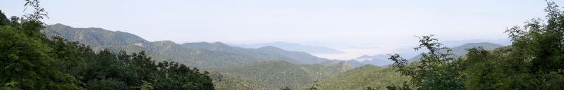 Maggie Panorama1
