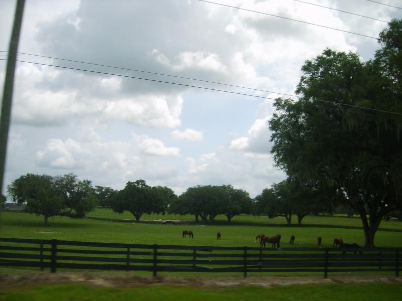 Marion County