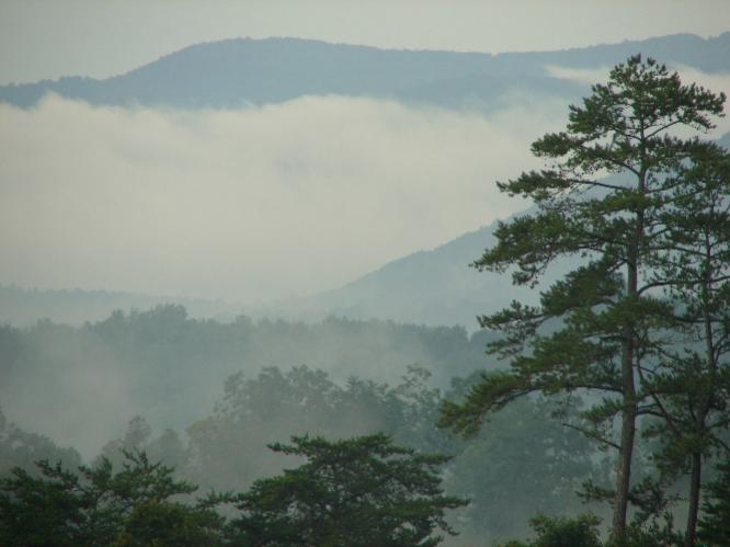Morning mist