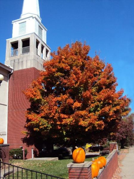Nc2012autumn0053a
