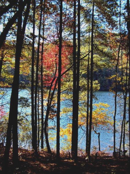 North shore, Lake Santeetla