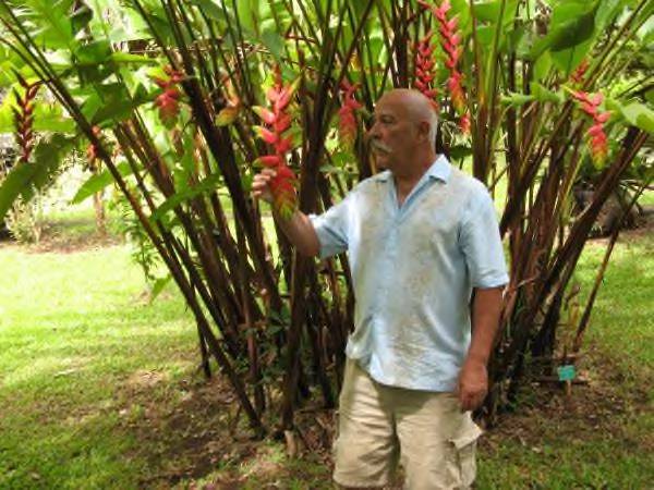 oahu 09