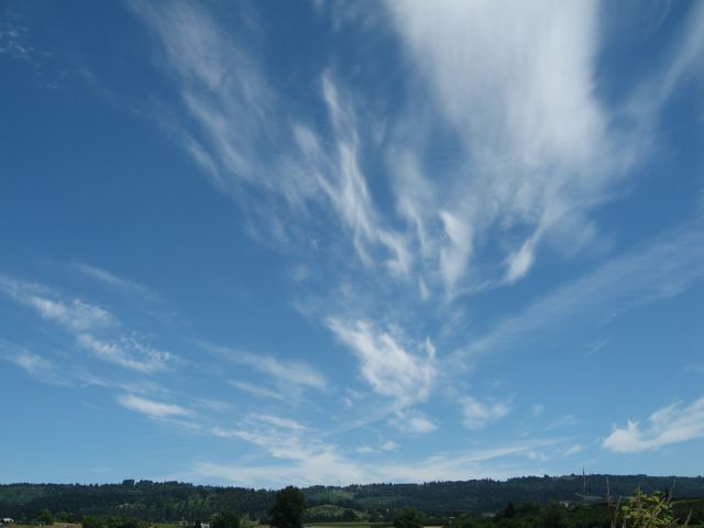 Oregon sky
