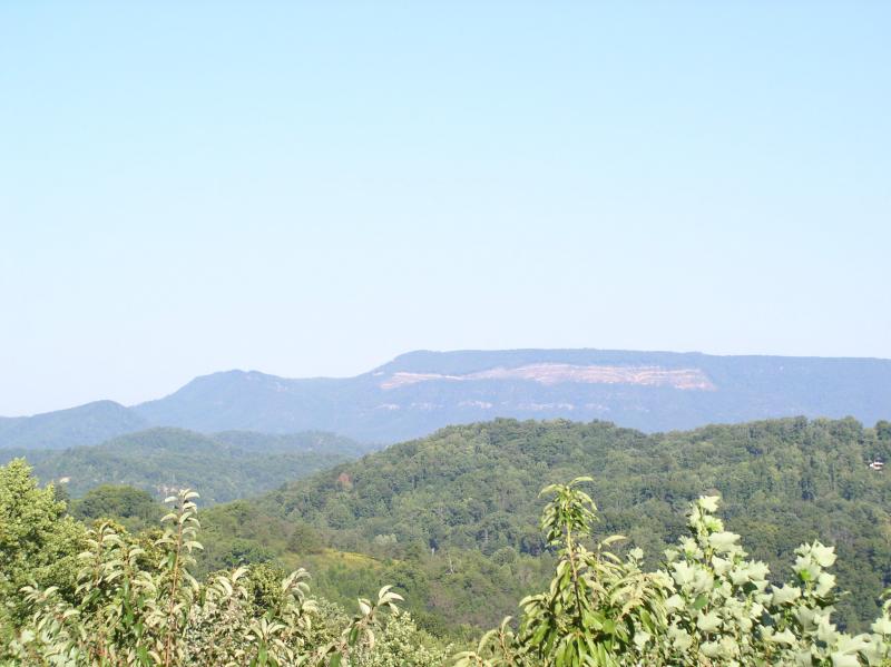 P1010003