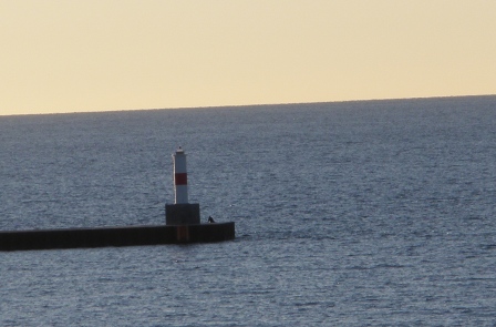 PA010100