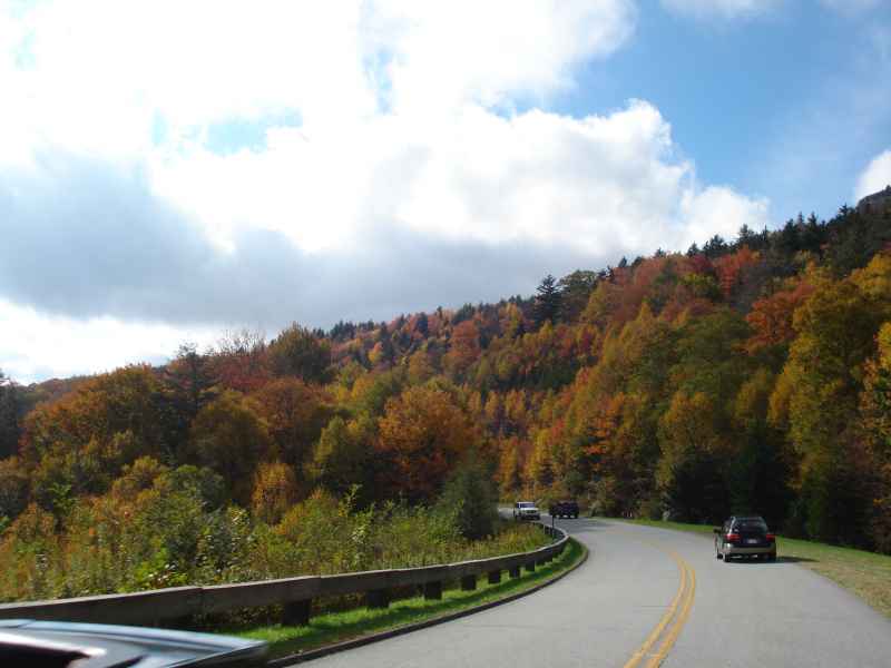 parkway 7
