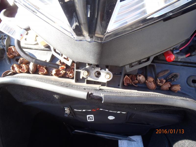 pecan storage