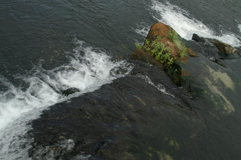 PICT0015