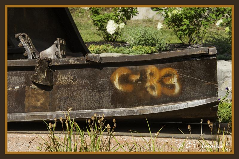 PS DSC4134