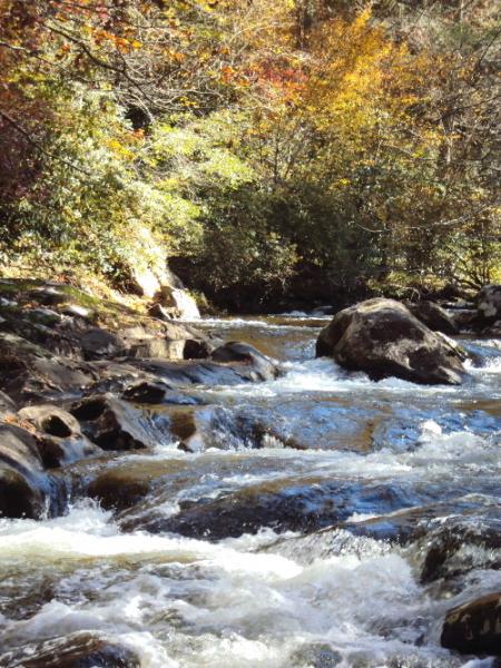 Rapids
