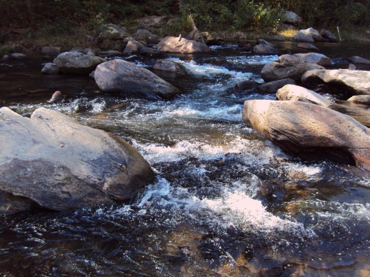 rapids