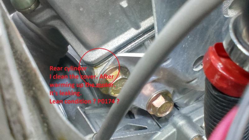 reargasketleak