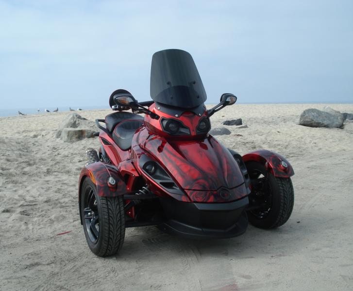 Sassy on the beach