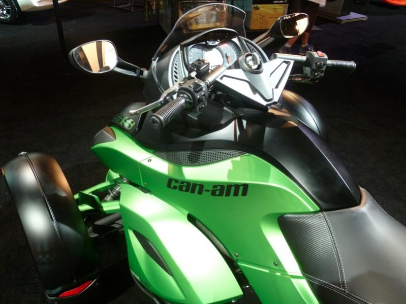 smP1020334