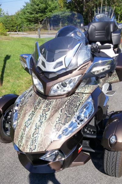 Snake skin graphics