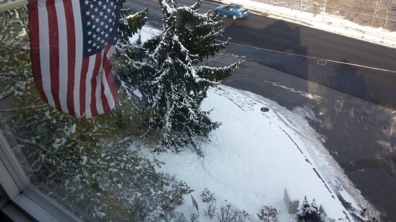 snow1