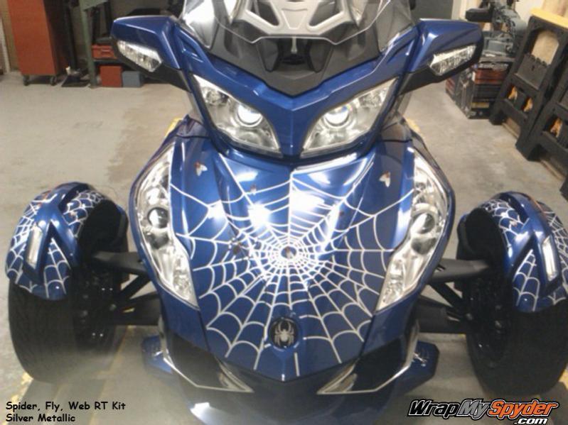 Spider web fly