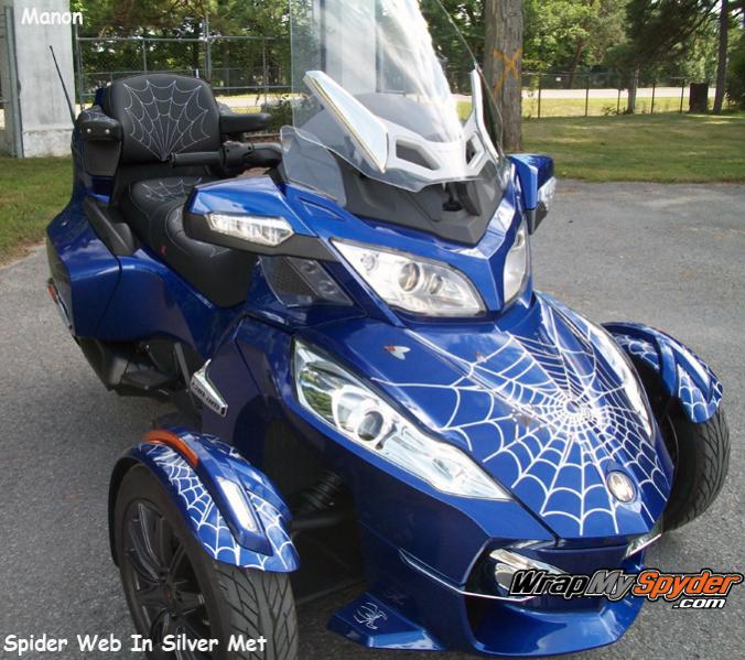 Spider, Web, Fly