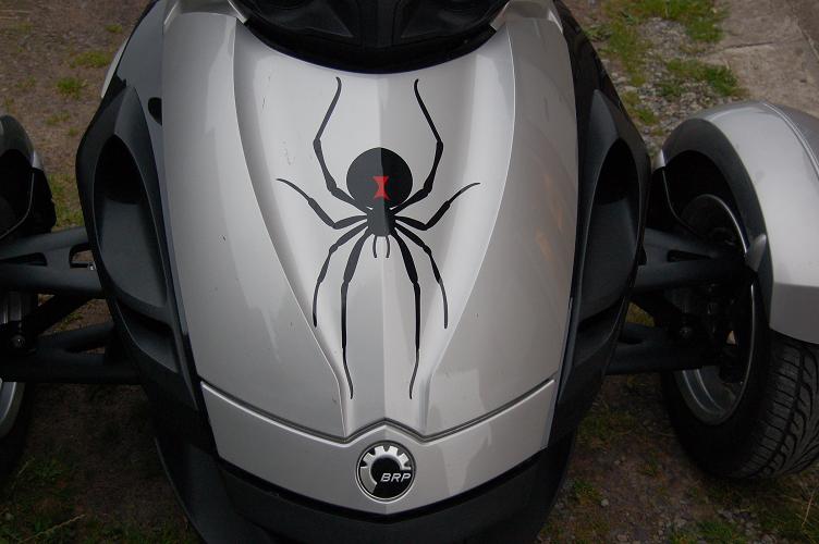 spider